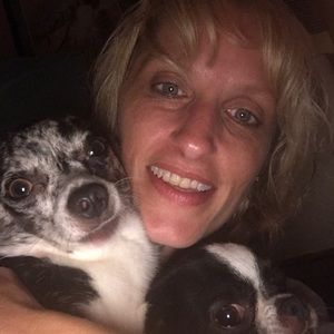 Meet your Posher, Holli